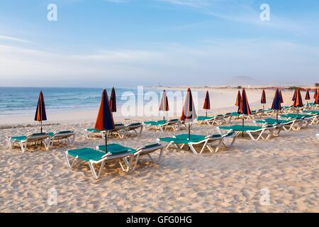 Reihe von Sonnenliegen und Sonnenschirme am Strand Stockfoto