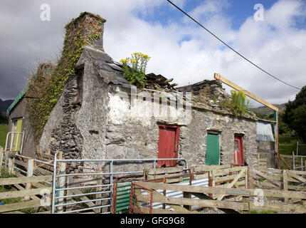 Verfallenen Cottage auf der Beara Halbinsel, West Cork Stockfoto