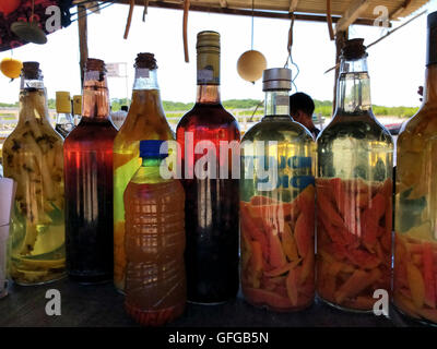 Flaschen gefüllt mit hausgemachter mit Zuckerrohr Schnaps namens Cachaça destillate Stockfoto