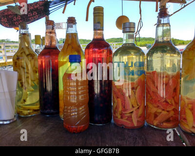 Flaschen gefüllt mit hausgemachter mit Zuckerrohr Schnaps namens Cachaça destillate Stockfoto