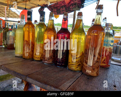 Flaschen gefüllt mit hausgemachter mit Zuckerrohr Schnaps namens Cachaça destillate Stockfoto