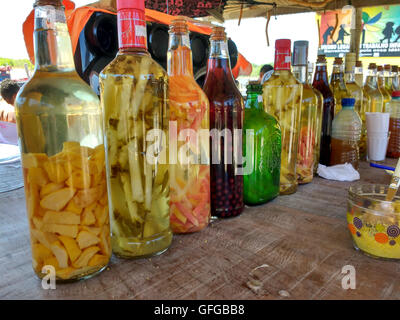 Flaschen gefüllt mit hausgemachter mit Zuckerrohr Schnaps namens Cachaça destillate Stockfoto