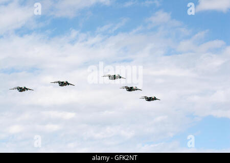 SAITAMA, JAPAN - 3. November 2014: Japan Air Self-Defense Force hält ihre jährliche Airshow an ihre Iruma airbase Stockfoto