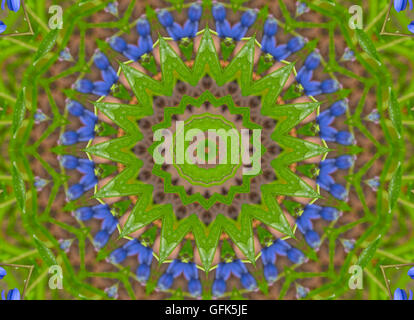 Kaleidoskop Mandalas von Blumen in den Farben blau und grün Stockfoto