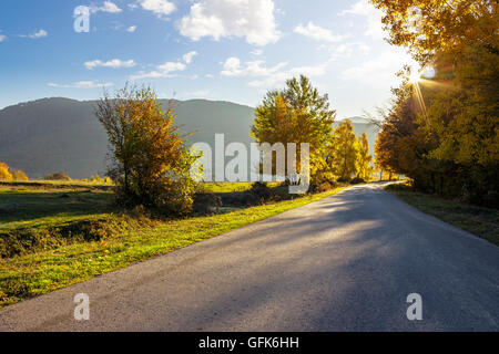 Asphaltstraße gehen geht durch den herbstlichen Wald in den Bergen Stockfoto