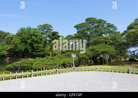 Kiefer, Kenrokuen, Japan Stockfoto