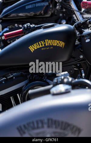 Detail der Harley Davidson Motorrad Benzintank Stockfoto