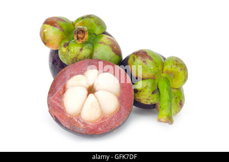 Mangostan (andere Namen sind Garcinia Mangostana, Clusiaceae, Saptree, lila Mangostan, Affe Obst, Malpighiales) mit Obst Stockfoto