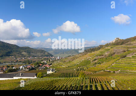 Dürnstein: Blick vom Weinberg Ried Höhereck, Dürnstein, Burgruine Dürnstein und Donau, Österreich, Niederösterreich, L Stockfoto