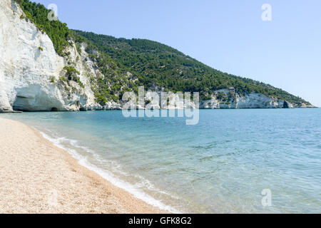 Der Strand Vignanotica auf der Küste des Gargano National Park auf Puglia, Italien Stockfoto