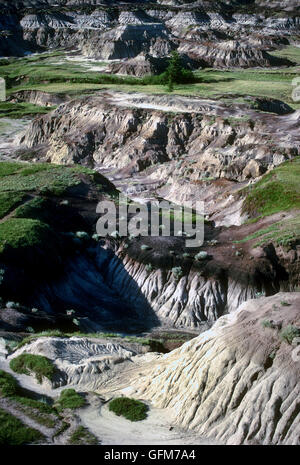 Für Wanderer ist Horseshoe Canyon der verkehrsreichste Drumhellers zwei Schluchten. Alberta - Kanada. Stockfoto