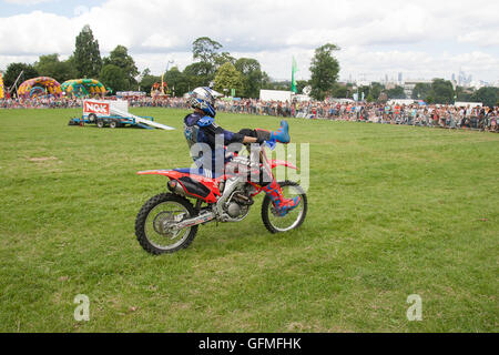 Lambeth Country Show, Brockwell Park London England UK Europa Stockfoto