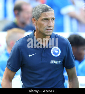 American Express-Stadion, Brighton, große, UK. 31. Juli 2016. Chris Hughton, Manager von Brighton und Hove Albion in einem Testspiel vor der Saison. Bildnachweis: Paul Terry/Alamy Live-Nachrichten Stockfoto