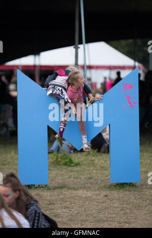 Malmesbury, Wiltshire. 29. Juli 2016.   Festivalbesucher weiterhin der Schlusstag der alternativen Welt Musik, Essen und Karneval Prozession auf dem Charlton Park Anwesen in Wiltshire ein langes Wochenende zu genießen. WOMAD 2016 läuft vom 28. bis 31. Juli und ist als Großbritanniens größte globale Partei in Rechnung gestellt.  Wayne Farrell/Alamy Live-Nachrichten Stockfoto