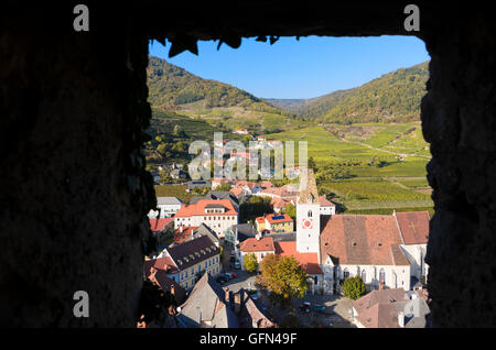 Spitz an der Donau: Ansicht von 1000 - Eimer-Berg am Spitz, Weinberg, Wachau, Niederösterreich, Niederösterreich, Österreich Stockfoto