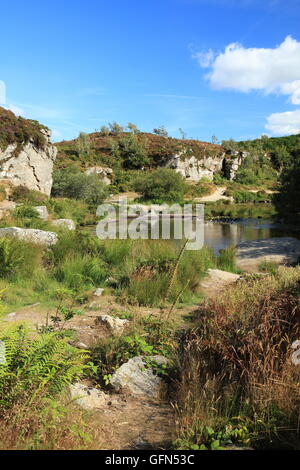 Haytor stillgelegten Steinbruch, Dartmoor National Park, Devon, England, UK Stockfoto