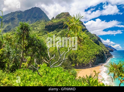 Blick auf Hanakapiai Strand und die Na Pali Coast vom Kalalau Trail auf Kauai Stockfoto