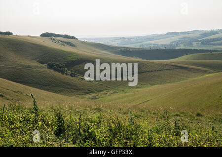 Letcombe Regis und Ridgeway Oxford getroffen Juli 2015 Stockfoto