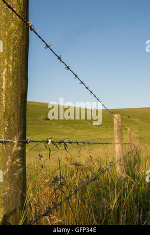 Letcombe Regis und Ridgeway Oxford getroffen Juli 2015 Stockfoto