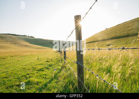 Letcombe Regis und Ridgeway Oxford getroffen Juli 2015 Stockfoto