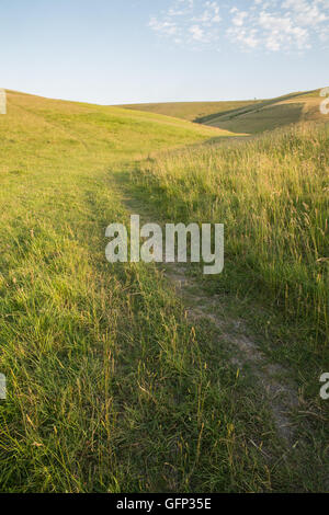 Letcombe Regis und Ridgeway Oxford getroffen Juli 2015 Stockfoto