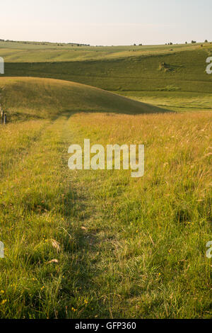 Letcombe Regis und Ridgeway Oxford getroffen Juli 2015 Stockfoto