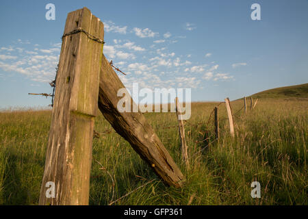 Letcombe Regis und Ridgeway Oxford getroffen Juli 2015 Stockfoto