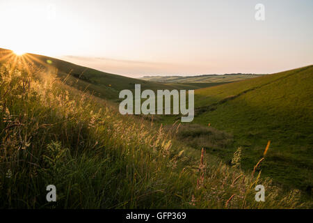 Letcombe Regis und Ridgeway Oxford getroffen Juli 2015 Stockfoto