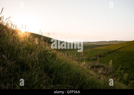 Letcombe Regis und Ridgeway Oxford getroffen Juli 2015 Stockfoto