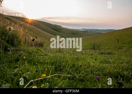 Letcombe Regis und Ridgeway Oxford getroffen Juli 2015 Stockfoto