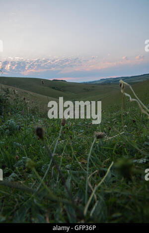 Letcombe Regis und Ridgeway Oxford getroffen Juli 2015 Stockfoto