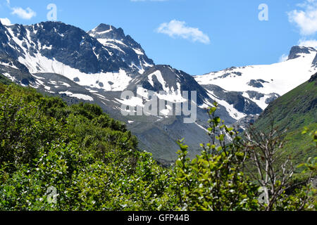 Sommer in den österreichischen Alpen über Ischgl und Galtur, mit einem Hintergrund der schneebedeckten Berge Stockfoto