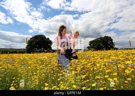 Eine junge Mutter und ihre Töchter genießen das warme Wetter diesen Sommer an der English Lavender Centre, Alton, Hampshire, UK. Stockfoto