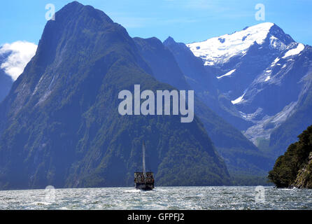 Großsegler am Milford Sound in Fiordland, Südalpen, New Zealand, ist durch die Höhe der Berge in den Schatten gestellt. Stockfoto