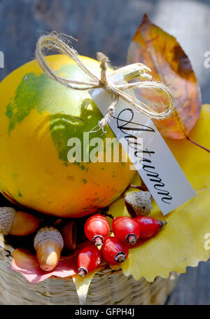Herbst-Korb mit Früchten und Blättern in natürlichem Licht Stockfoto