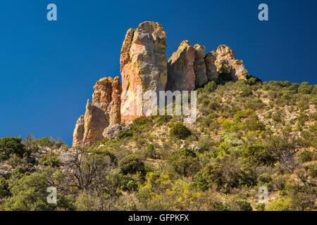 Die Finger, Blick vom Silver Peak Trail, Chiricahua Bergen, Coronado National Forest, Arizona, USA Stockfoto