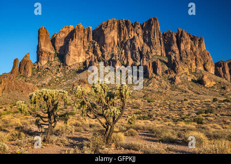 Gebetshände-Formation, Superstition Mountains, Teddybären-Cholla-Kakteen, Sonnenuntergang, Blick vom Lost Dutchman State Park, in der Nähe von Apache Junction, Arizona, USA Stockfoto