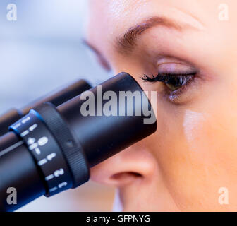 Wissenschaftler, die unter dem Mikroskop im Labor Stockfoto