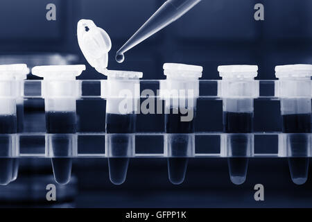 PCR-Streifen Reagenzgläsern und Mikropipette in Genetik Labor. Getönten Foto Stockfoto