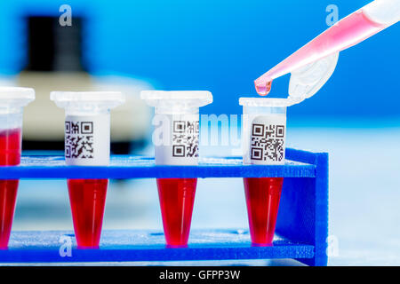 PCR-Streifen Reagenzgläsern und Mikropipette in Genetik Labor Stockfoto