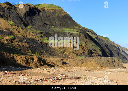 Stufenförmigen Klippen von Black Ven Marl Tonstein am Stonebarrow Hill, Charmouth, Dorset. Zeigt das Ergebnis der häufigen Erdrutsche UK Stockfoto