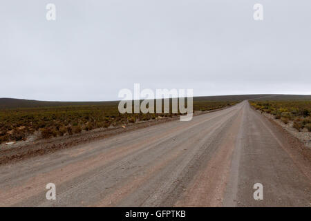 Auf dem Feldweg - ist Fraserburg eine Stadt in der Karoo-Region der nördlichen Kapprovinz Südafrikas. Stockfoto