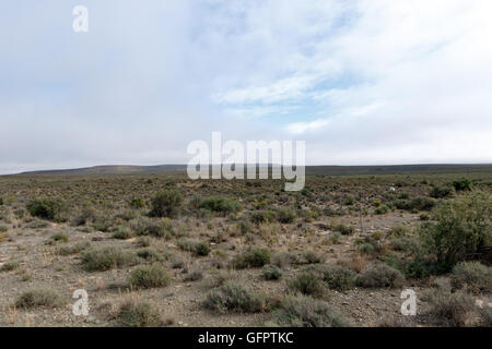 In der trockenen Karoo - ist Fraserburg eine Stadt in der Karoo-Region der nördlichen Kapprovinz Südafrikas. Stockfoto