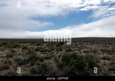 Karoo-Welt - Fraserburg ist eine Stadt in der Karoo-Region der nördlichen Kapprovinz Südafrikas. Stockfoto