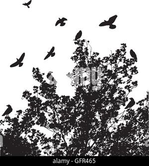 Vektor-Illustration von einem Baum Hintergrund mit Vögel Stock Vektor