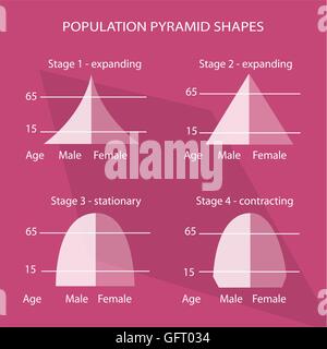 Bevölkerung und Demografie, Illustration-Satz von 4 Arten von Bevölkerung Pyramiden Diagramm oder Altersstruktur grafisch darstellen. Stock Vektor