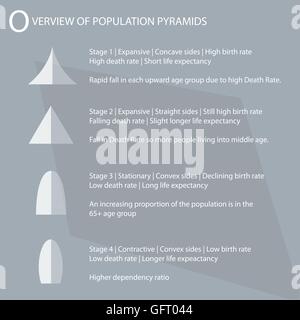 Bevölkerung und Demografie, Illustration von 4 Arten von Bevölkerung Pyramiden Diagramm oder Altersstruktur grafisch darstellen. Stock Vektor