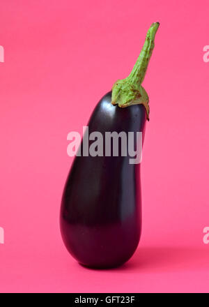 Eine frische Auberginen auf einem rosa Hintergrund Stockfoto