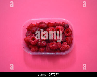Frische Himbeeren in Kunststoff-Box auf einem rosa Hintergrund Stockfoto