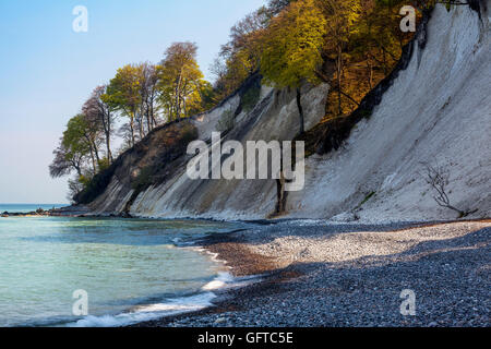 Kreide, Cliff und Buchenwälder, Nationalpark Jasmund, Rügen, Deutschland, UNESCO-Welterbe. Stockfoto